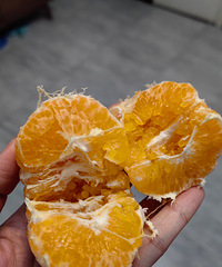 �ҰҸ�12������ֱ̫�ó��ˣ�һ��������3��