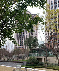 ���Ѷ�Ϊ���Ӷ������˷��ӣ�����Ҳ�����²��ˣ���ս4�����깤