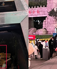 情人节我翻遍了观音桥的垃圾桶!