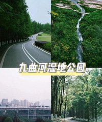 重庆主城6大骑行公园,让我们一起去拥抱春天