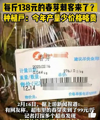吃不起春芽,一斤卖到上百快!