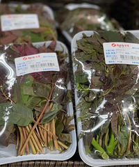 一年一度蔬菜界的“爱马仕”上市了