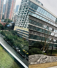 ���н���������ʿ�ĺ�լ�����䶼��330�򣬿���