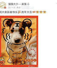 �س������뵼����ͬһֻ��