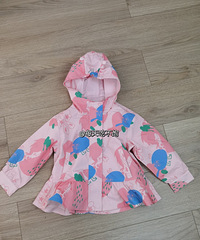 �����·���MQD���������ˣ�