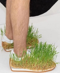 �桤��ЬҪ�����ˣ���Ȼ��ô�󡭡�