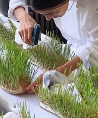 �桤��ЬҪ�����ˣ���Ȼ��ô�󡭡�