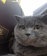 �������ڱ���·�����ھ�����������򷿣����Ǻù�ѽ