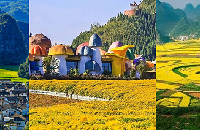 ֡Ͳ˻ĢƵ̫꣬ʺȥȼ