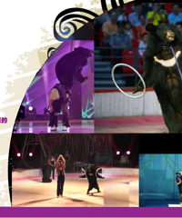 ������Ϸ���껪��Ϯ��ʨ����Ȧ�����з��ˡ������¥�������Ʊ