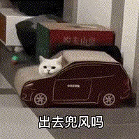 ������ֵ����seed��ͫ����2��39�����ݷ��޸�Ȧ����59