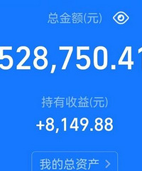 我这个状况适不适合买个25万的车