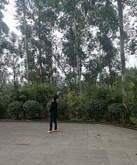 84183CMĹԱ飬ϣԷ165