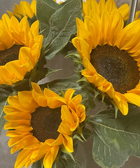 һ����ҲҪ�ú�������������΢��ֱ���乺���ʻ�������û����