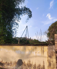 ��ѧ�����һ���¡�������԰�������Ͽ���������ͼ��