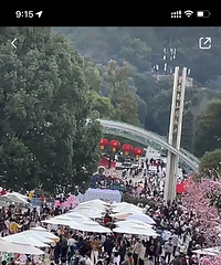 南山植物园人山人海,全出来晒太阳