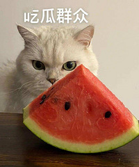 ����Ӱ�ۺ������Ѿ��ַ�˯