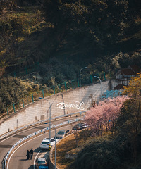 日常记录|追逐光线的人