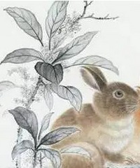 2023���걦��������ȫ�ɻ䣬����ȡ��ע������