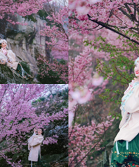 这里拍樱花太美了,氛围感拉满