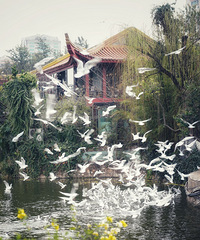 Լƹ󴨣ۺιŸ˻㹥ˣСھ