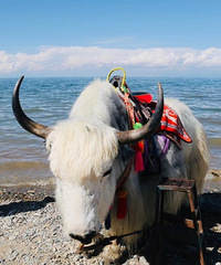 ��˫���ṩ�Ļ�����Ϣ��ʵ������Ļ����ϣ�Խ��Խ�����Խ��