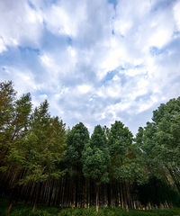 ���빫԰����ʵ��ס����