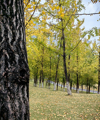 ���빫԰����ʵ��ס����