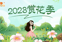 分享你的赏花美照,赢现金红包