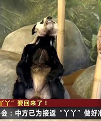 ��è�߳����ţ����󶼾�����ʲô