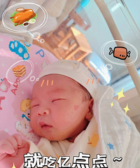 我以户口本户主的名义,欢迎你加入,宝贝
