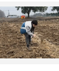 国内最虐人综艺,明星真去种地了