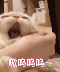 90后的姐妹们,你一年会花多少钱做医美啊?