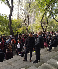 ֵ׻ᰡȫǳףЧٷ֮һ