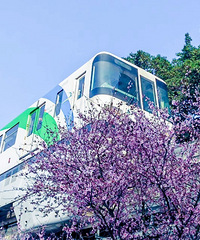 һ����ҲҪ�ú����æ�����е�������Ƭ����������г�