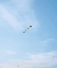 ���빫԰.�������⣡