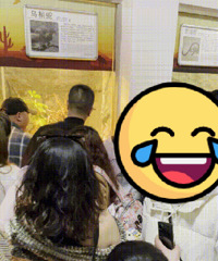 周末你们去嘛哪儿遛娃了?动物园人贴人