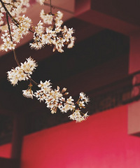 һ����ҲҪ�úù�������԰�У�һ��ӣ���������˱Ƕ���