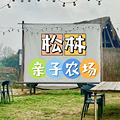 适合带娃去的松林农场