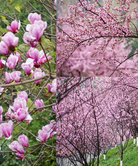 �����������ͻ��ؾ�Ȼû�ˣ�����