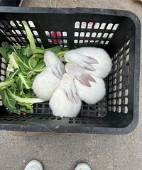 һ����ҲҪ�ú�����������ʵ���ĩ��������С����