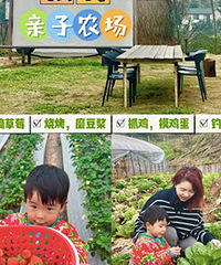 能露营,摘菜,抓鸡,摸鸡蛋的松林农场