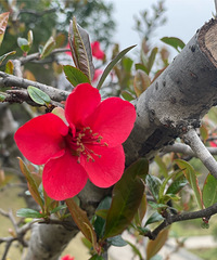 ����ٳٲ����������OOTD