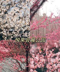 重庆周边的花都开好啦,带上宝宝出门去踏青吧