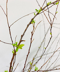 һ����ҲҪ�ú��������һ��ѩ�����պ��͸���27����Լ�