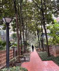 ���˽��ʮ��Ƕ�����