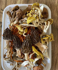 �����������������Ź�����