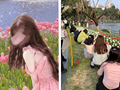 郁金香花海现状