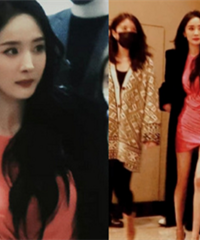 ���ݻ·͸����˫�Ⱦ���