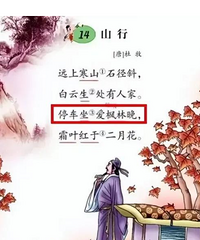 ��ͣ����������������ٱ�